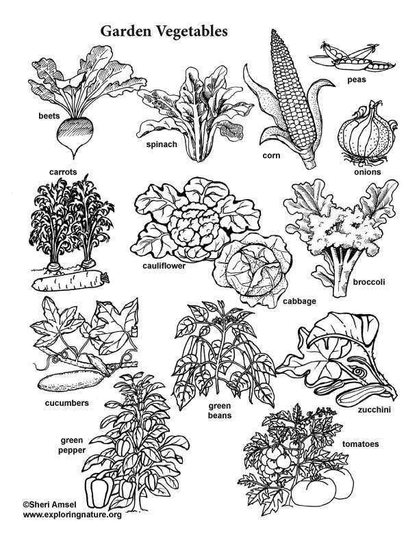 gardening coloring pages printable jpg