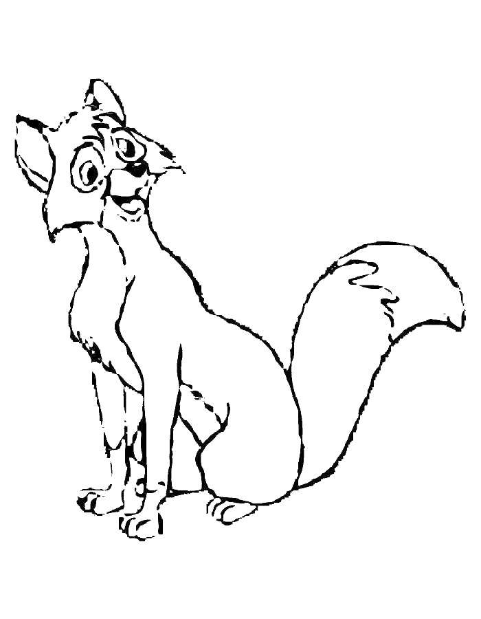 96 Heartwarming Fox and the Hound Coloring Pages Printable 41