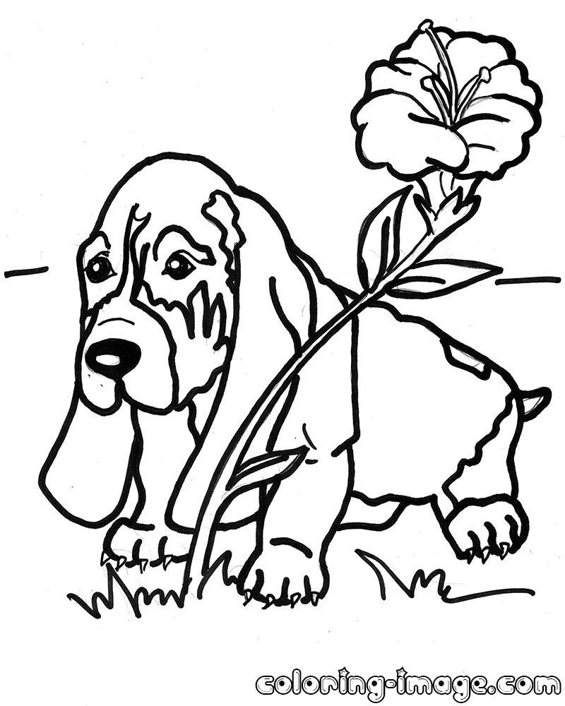 96 Heartwarming Fox and the Hound Coloring Pages Printable 76