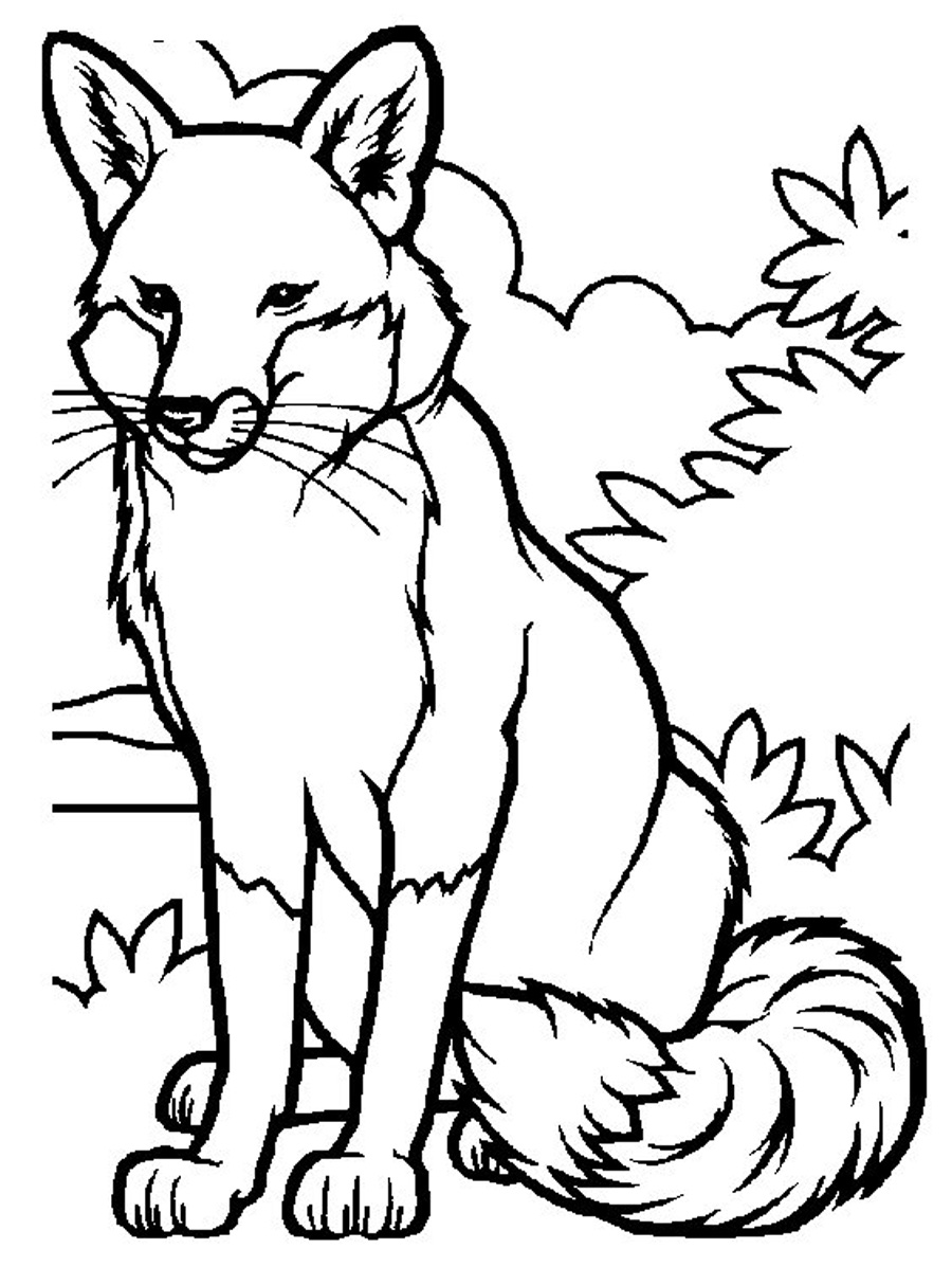 heartwarming fox and the hound coloring pages printable jpg