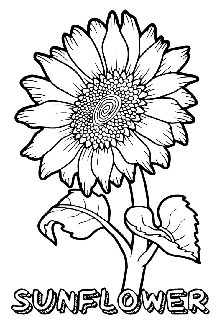 Cheerful Sunflower Coloring Pages Printable 16