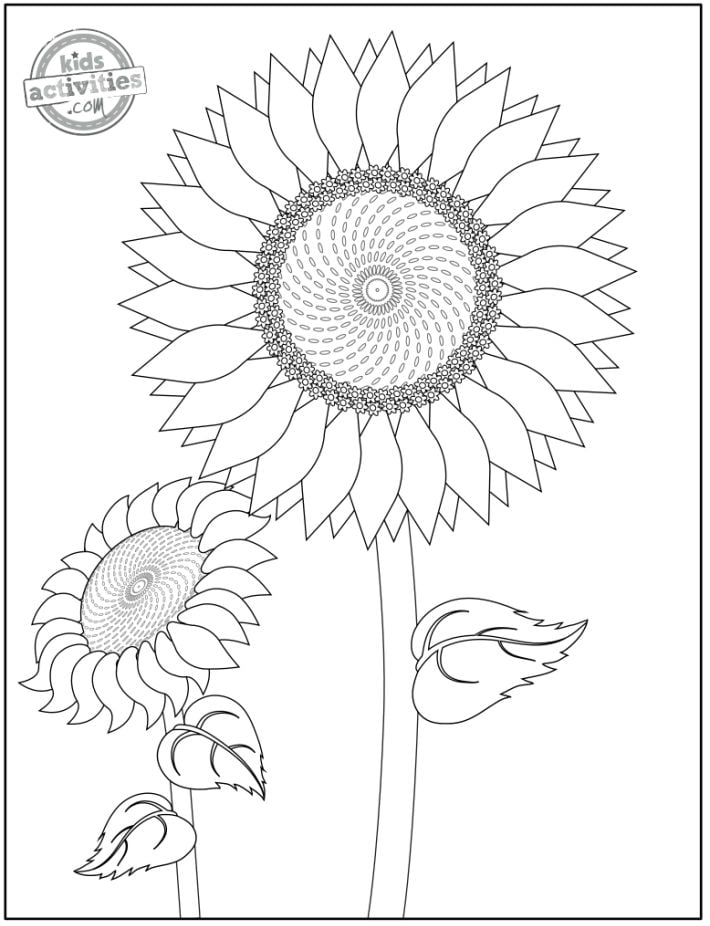 Cheerful Sunflower Coloring Pages Printable 19