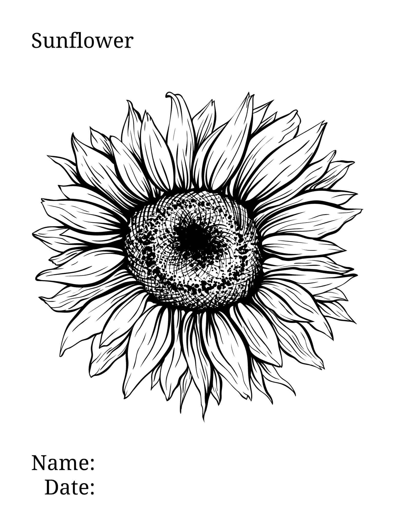 cheerful sunflower coloring pages printable jpg