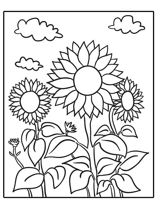 Cheerful Sunflower Coloring Pages Printable 22