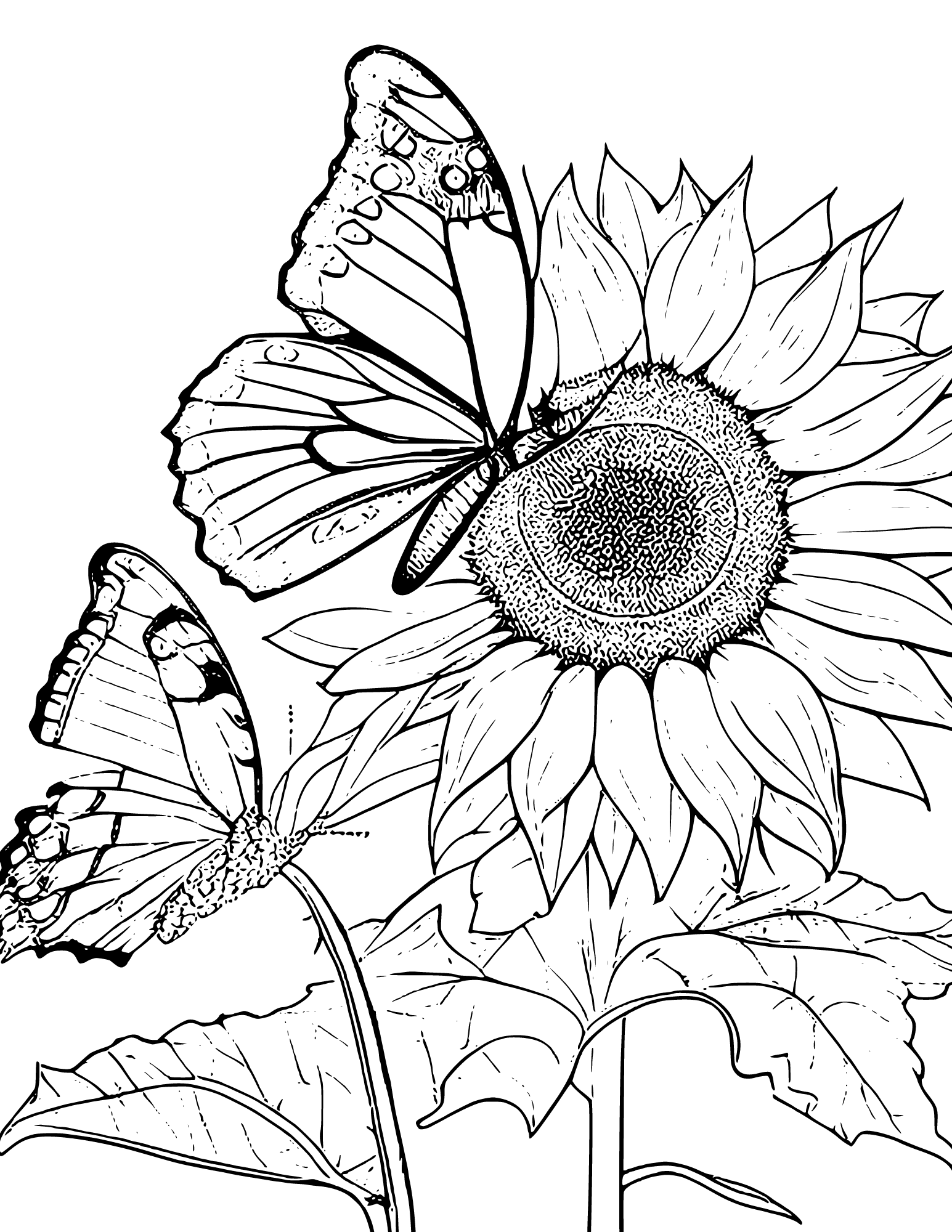 Cheerful Sunflower Coloring Pages Printable 24