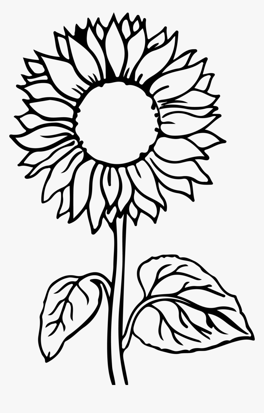 Cheerful Sunflower Coloring Pages Printable 26