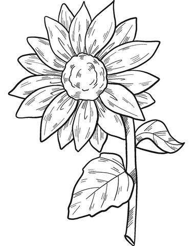 Cheerful Sunflower Coloring Pages Printable 34