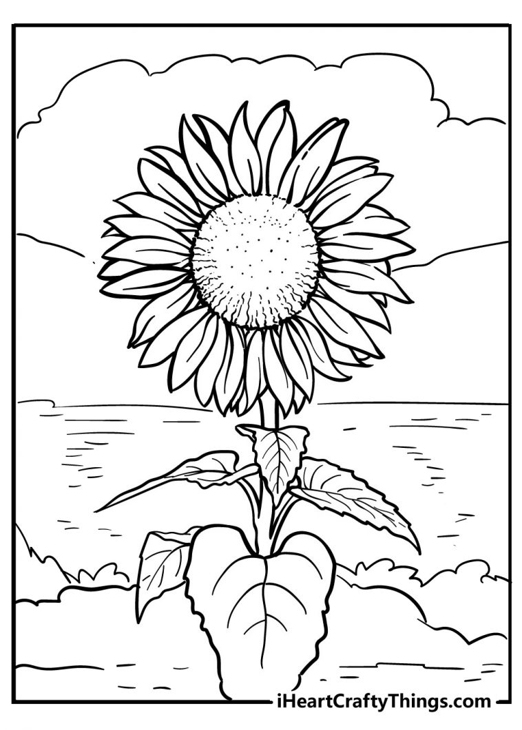 Cheerful Sunflower Coloring Pages Printable 7