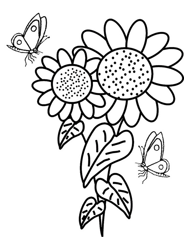 cheerful sunflower coloring pages printable jpg