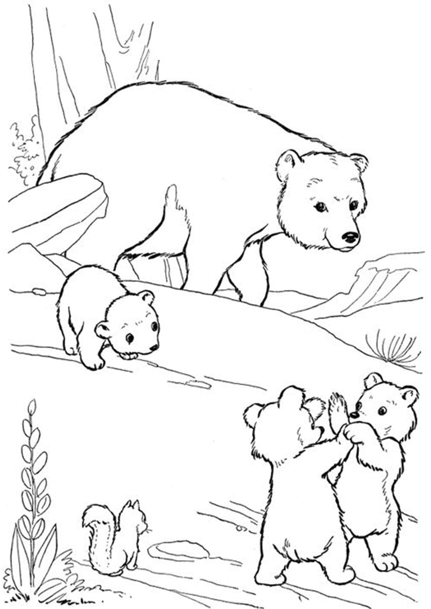 cuddly teddy bear coloring pages printable jpg