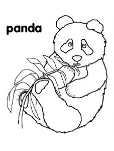 cute panda coloring pages printable jpg