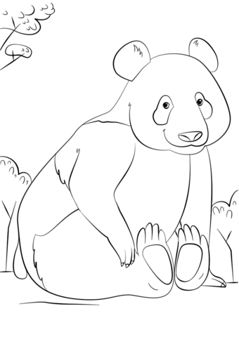 Cute Panda Coloring Pages Printable 35