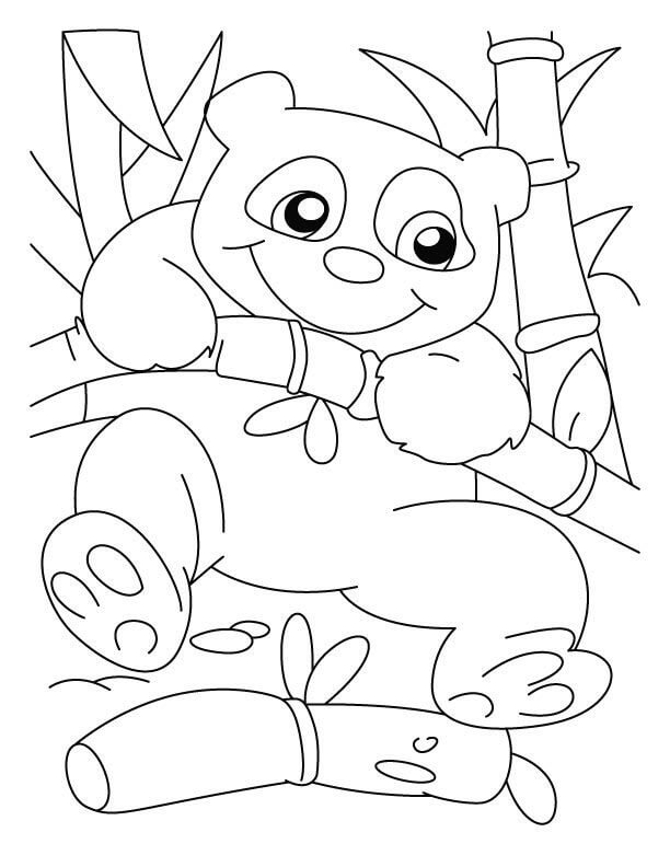 Cute Panda Coloring Pages Printable 6