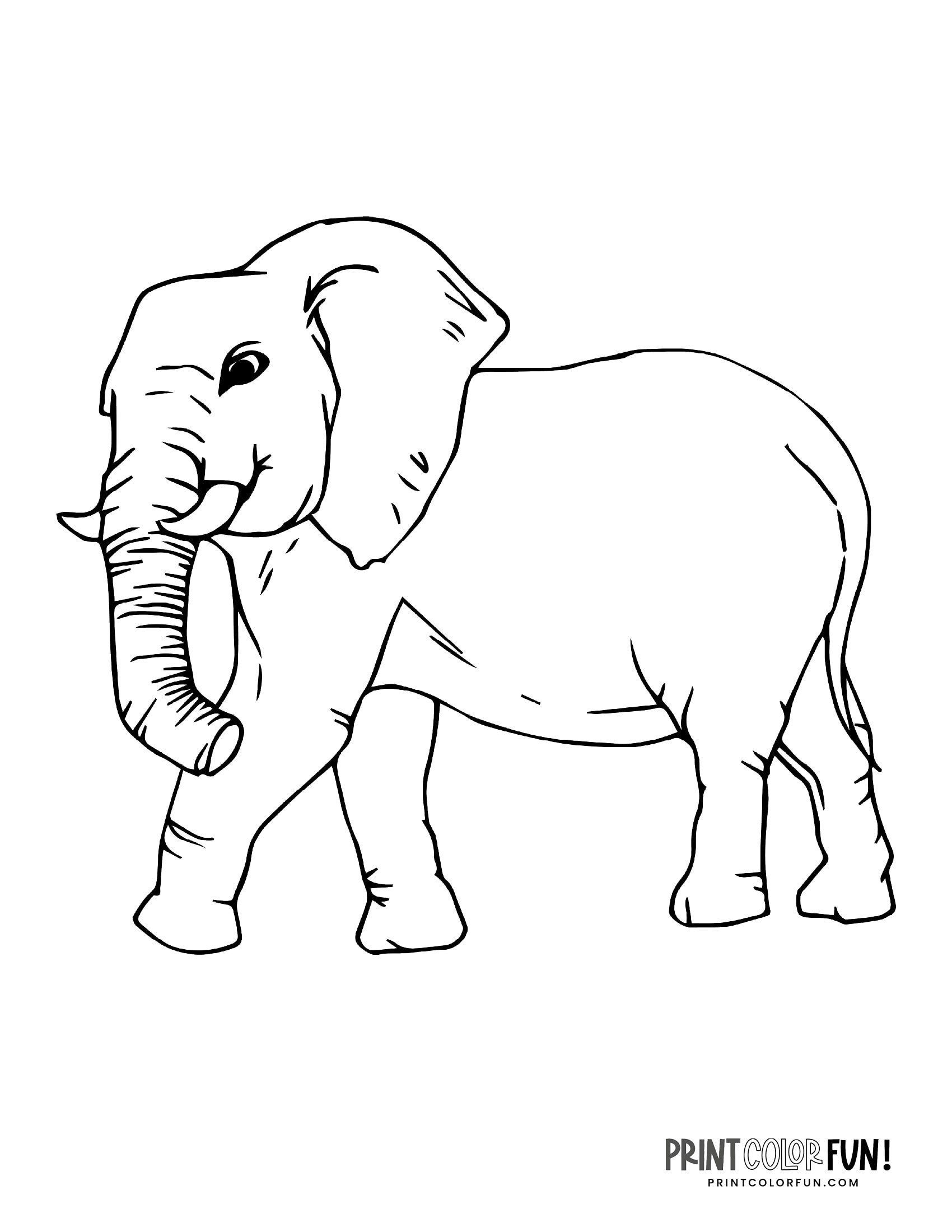 elephant coloring pages printable jpg