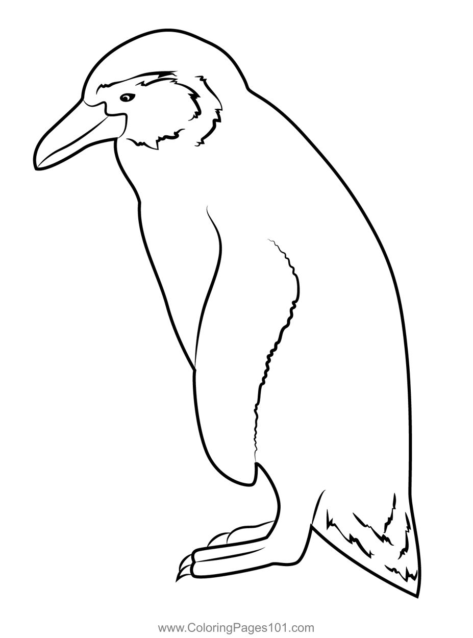 Penguin Coloring Pages Printable 10