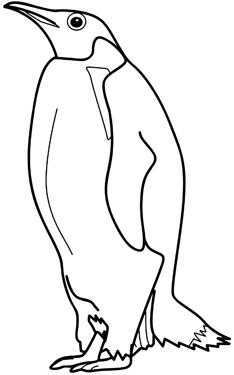 Penguin Coloring Pages Printable 33