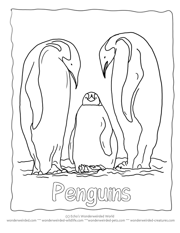 Penguin Coloring Pages Printable 9