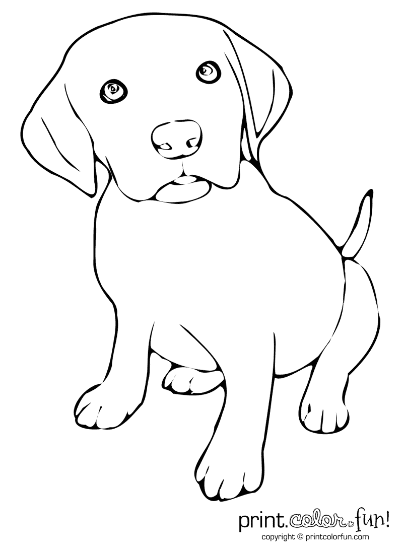 Puppy Coloring Pages Printable 10