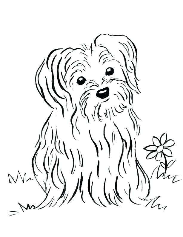 puppy coloring pages printable jpg