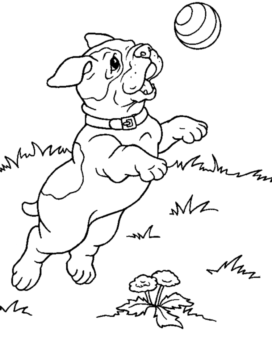 Puppy Coloring Pages Printable 8