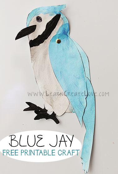 30 Colorful Jay Coloring Pages Printable 14