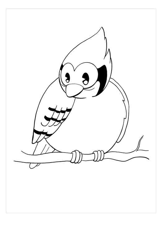 30 Colorful Jay Coloring Pages Printable 30