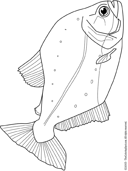 ferocious piranhas coloring pages printable jpg