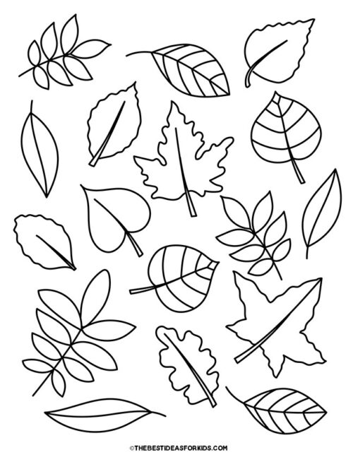 leaf coloring pages for kids printable jpg