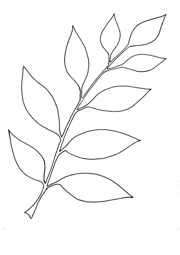 leaf coloring pages for kids printable jpg