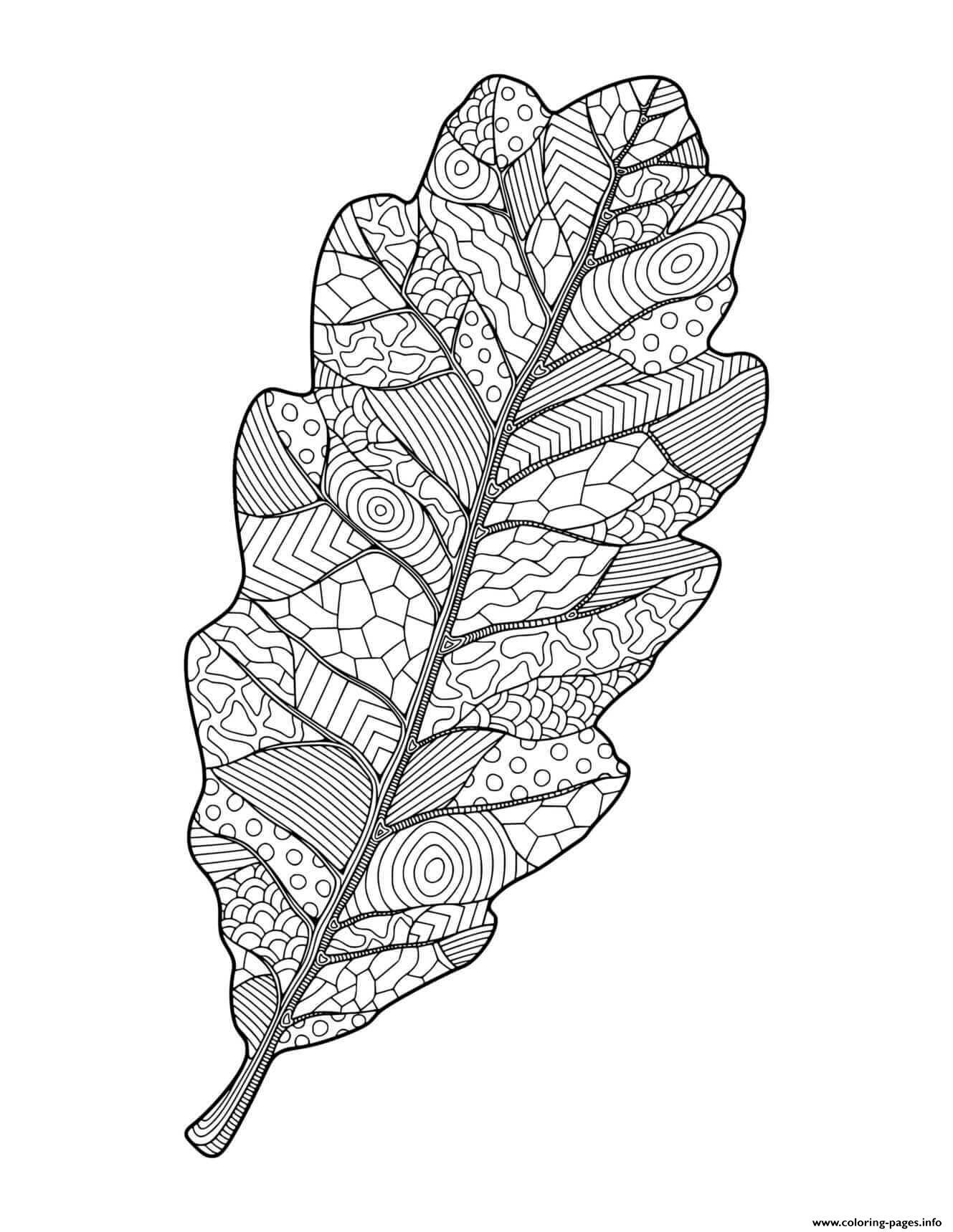 30 Leaf Coloring Pages for Kids Printable 16