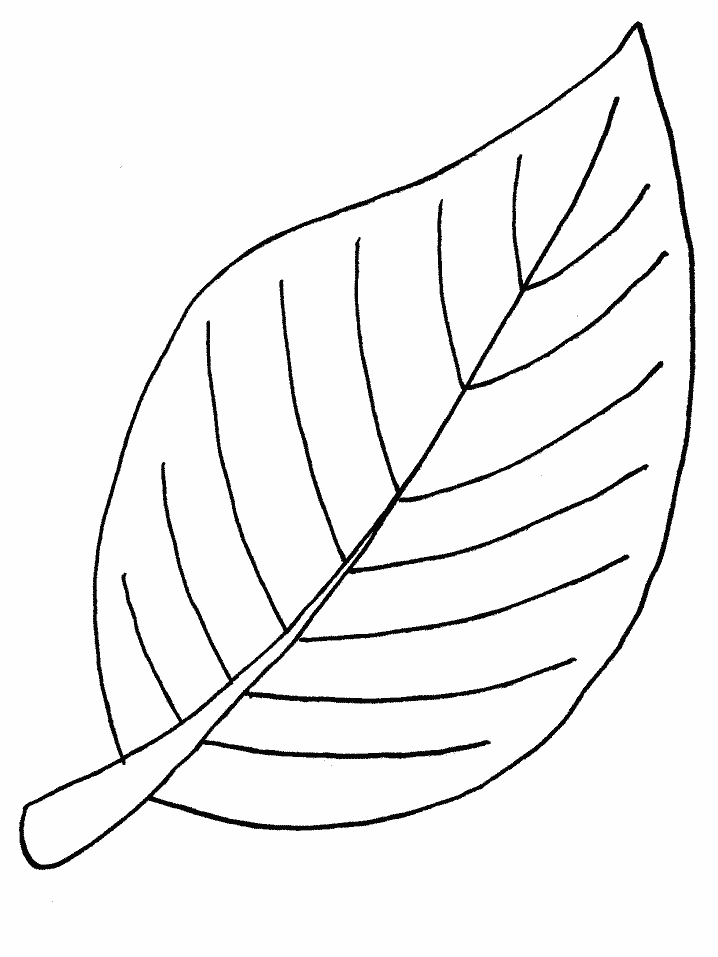 leaf coloring pages for kids printable jpg