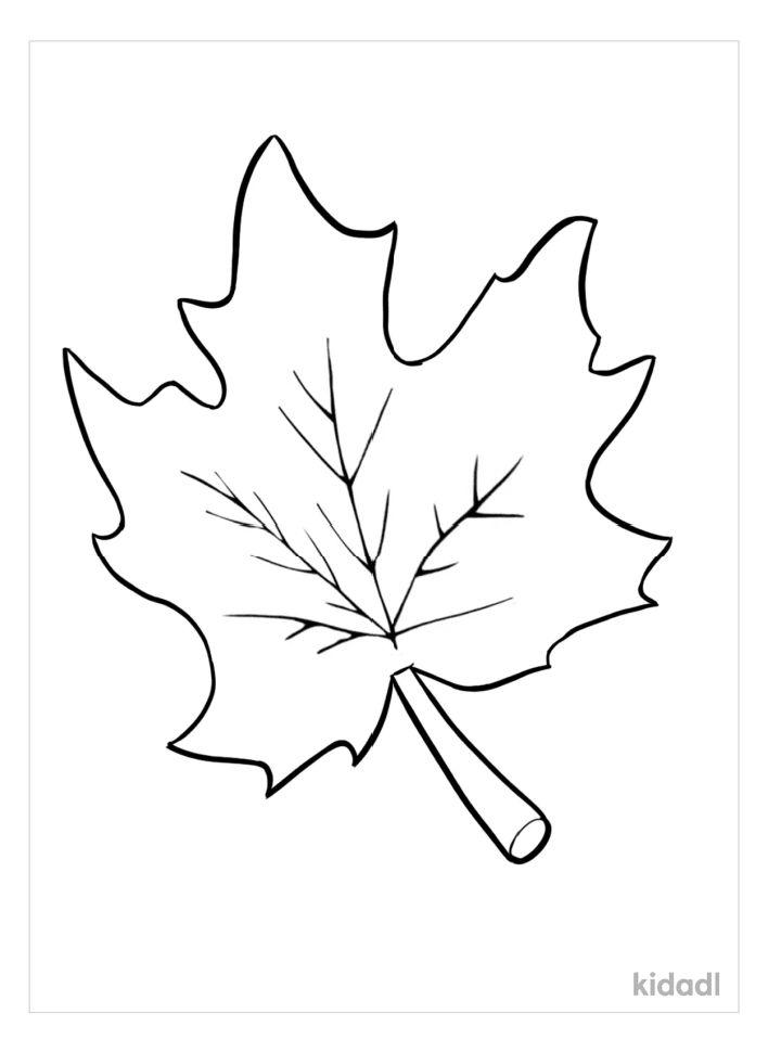 30 Leaf Coloring Pages for Kids Printable 28