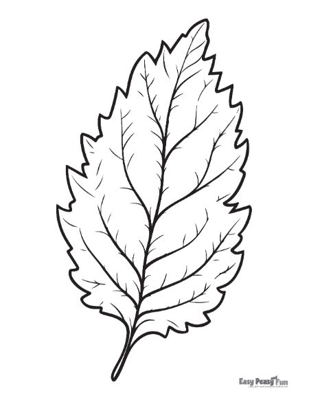 30 Leaf Coloring Pages for Kids Printable 32