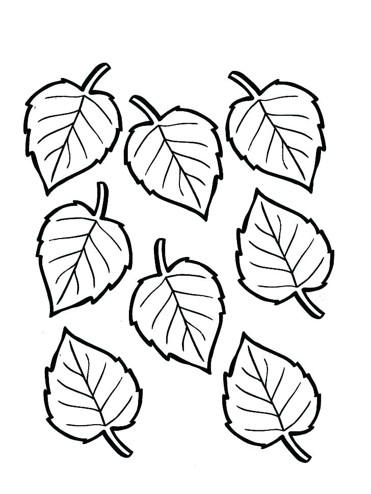 30 Leaf Coloring Pages for Kids Printable 33