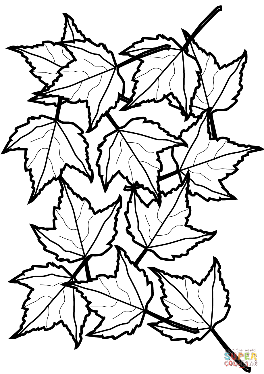 30 Leaf Coloring Pages for Kids Printable 35