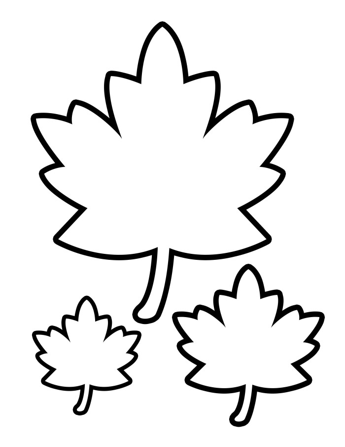 30 Leaf Coloring Pages for Kids Printable 7