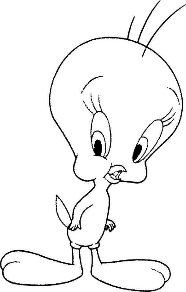 30 Tweety Coloring Pages Printable 27