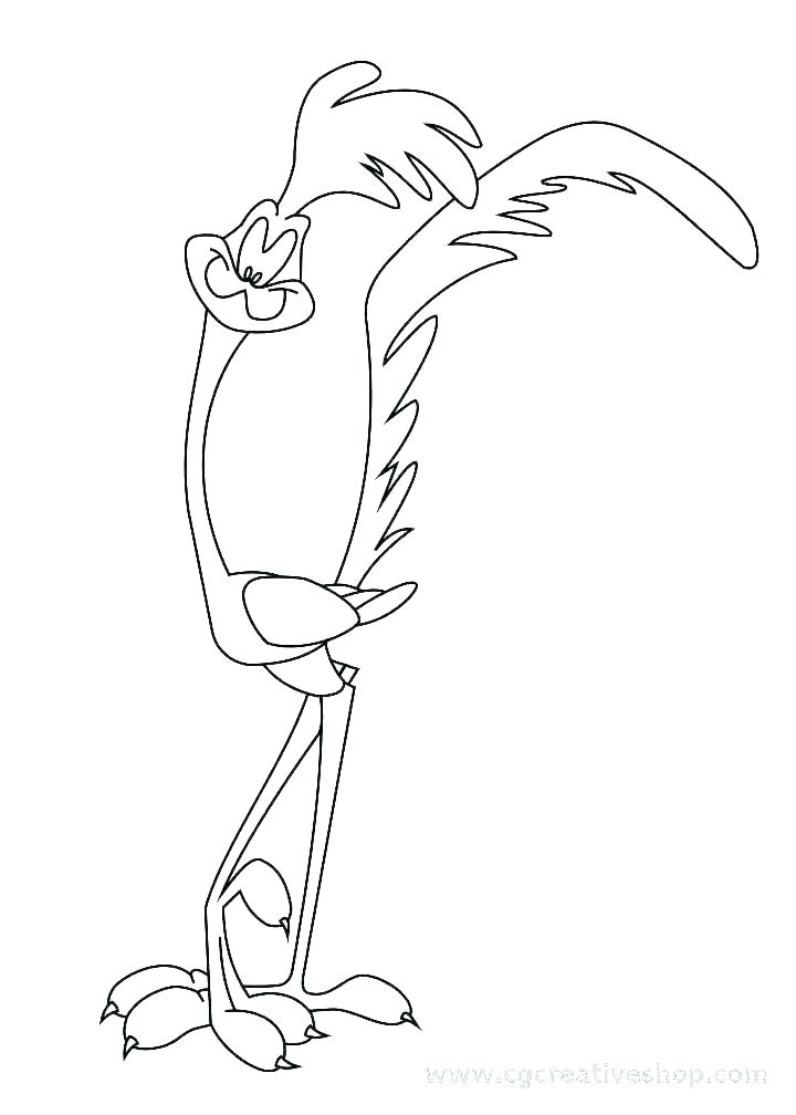 31 Fast Roadrunner Coloring Pages Printable 1