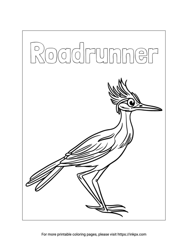 fast roadrunner coloring pages printable jpg