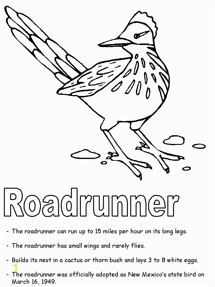 fast roadrunner coloring pages printable jpg