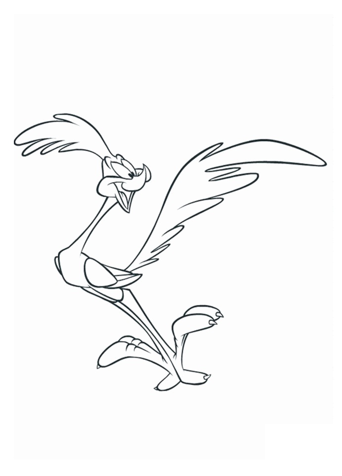 fast roadrunner coloring pages printable jpg