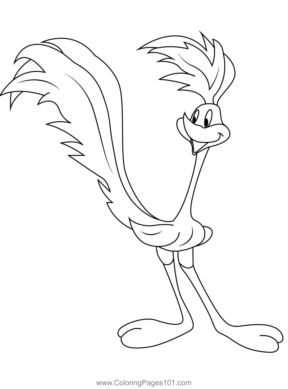 31 Fast Roadrunner Coloring Pages Printable 29