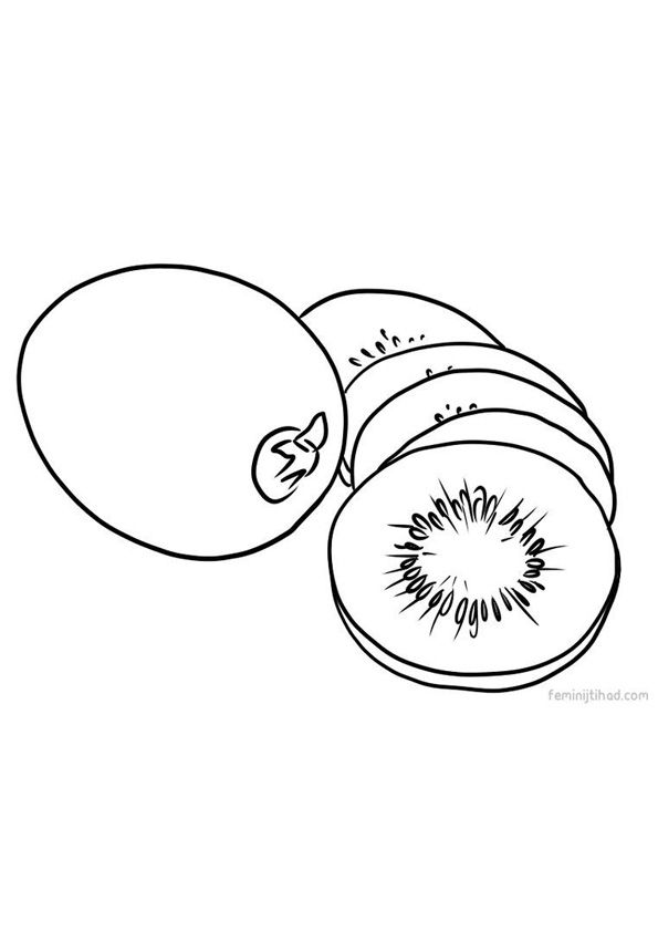 kiwi fruit coloring pages printable jpg