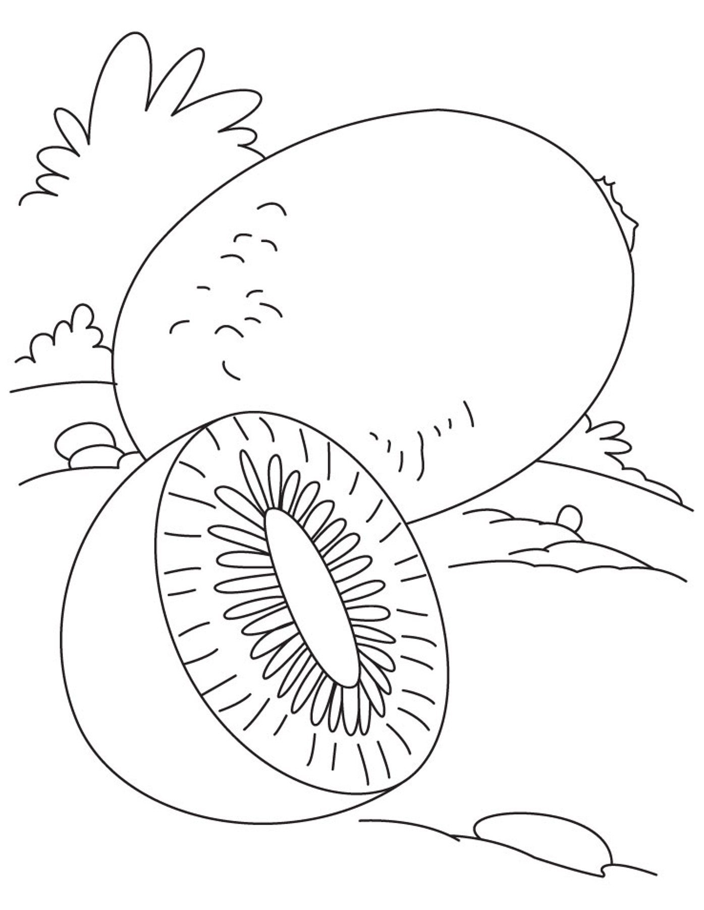 32 Kiwi Fruit Coloring Pages Printable 2