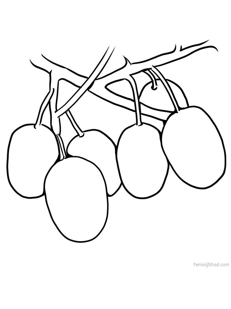 kiwi fruit coloring pages printable jpg