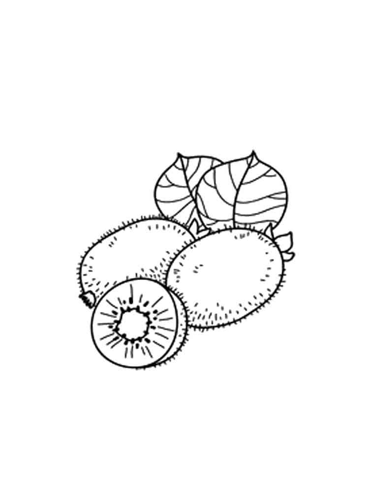 32 Kiwi Fruit Coloring Pages Printable 5