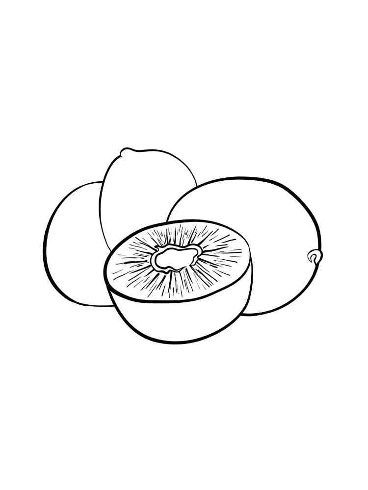 kiwi fruit coloring pages printable jpg