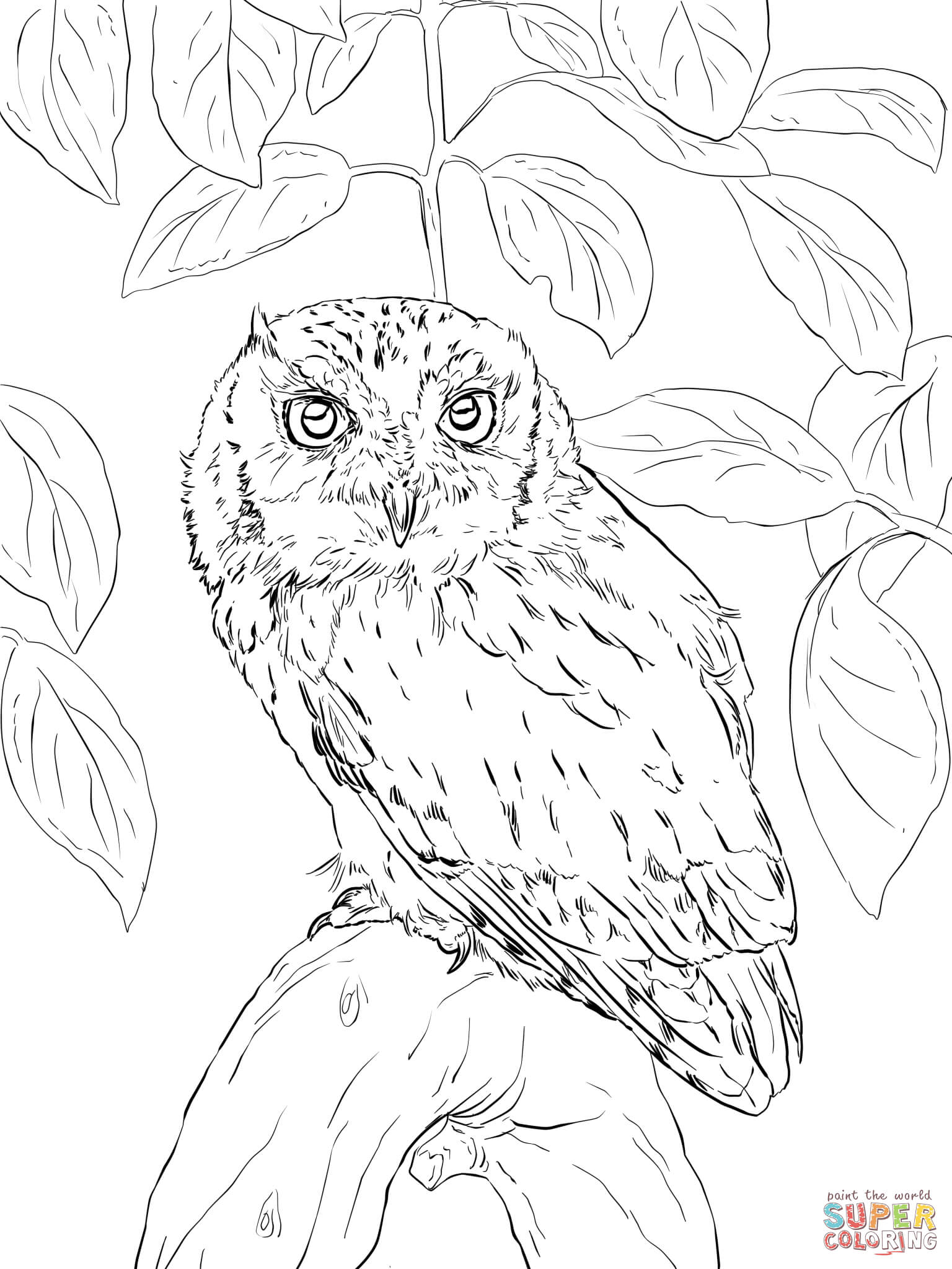 32 Owl Coloring Pages for Adults Printable 10