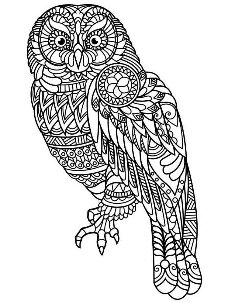 owl coloring pages for adults printable jpg