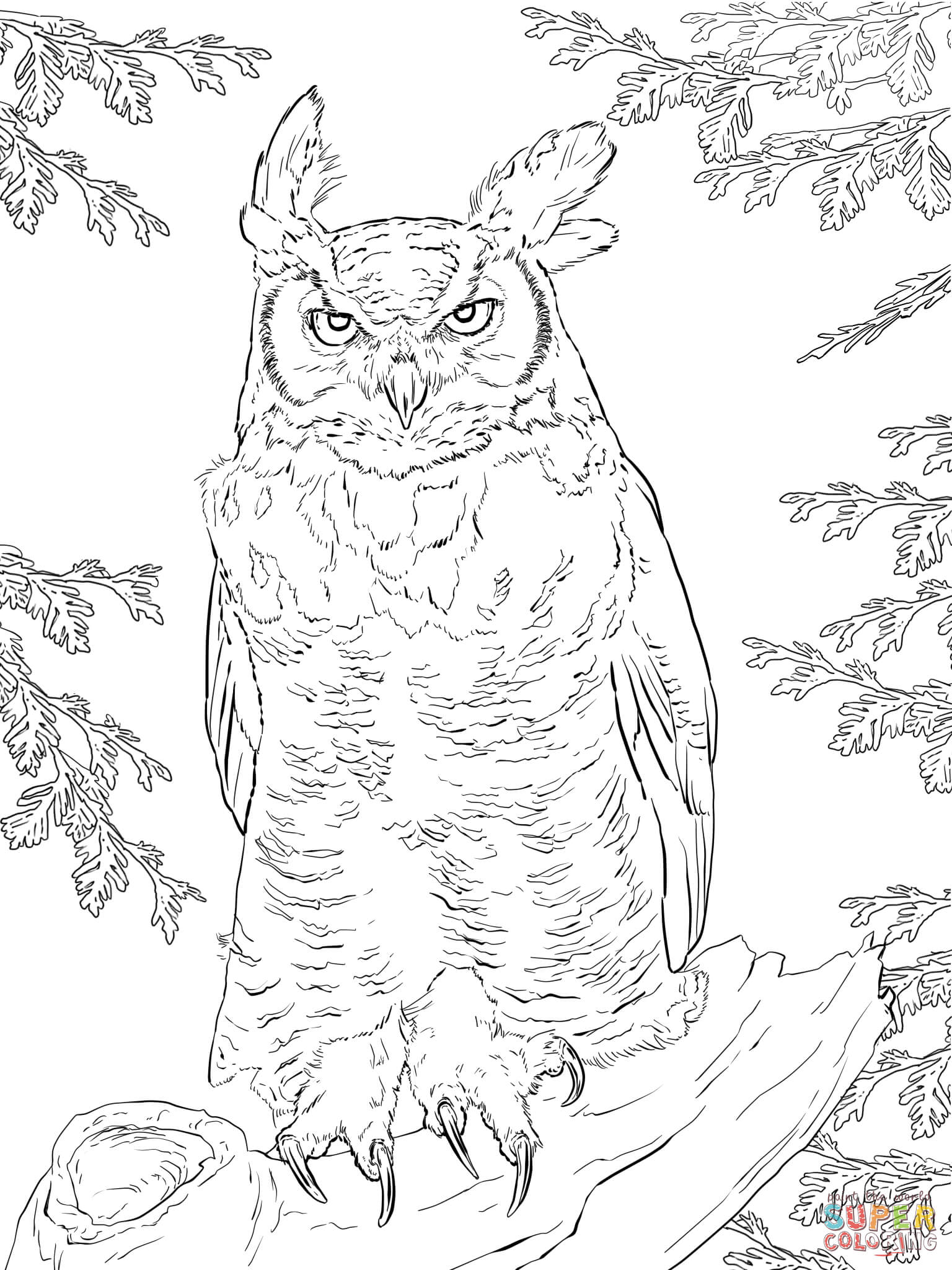 32 Owl Coloring Pages for Adults Printable 13